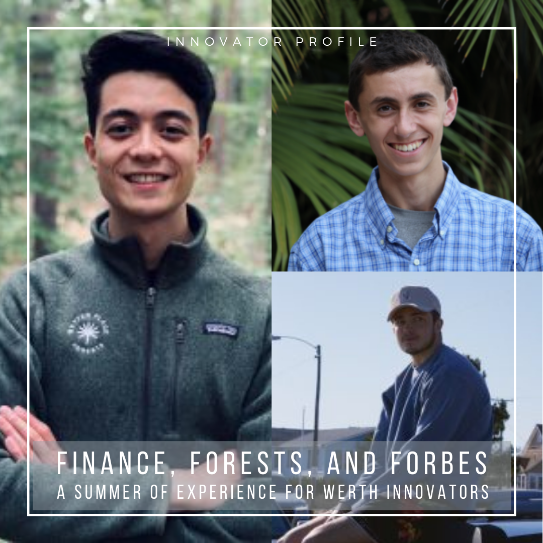 Finance, Forests, and Forbes: A Summer of Experience for Werth Innovators