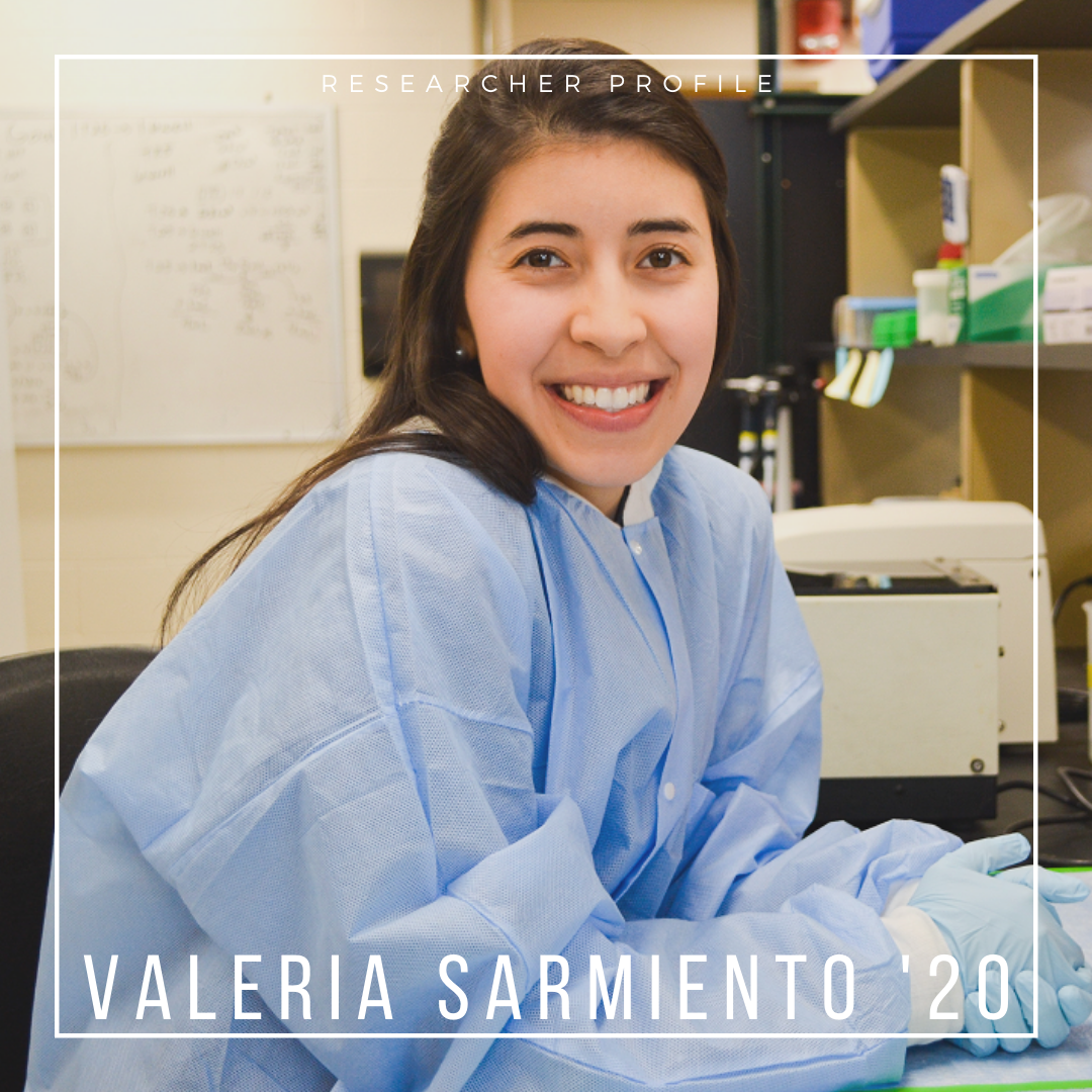 Researcher Profile: Valeria Sarmiento '20