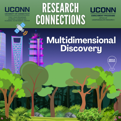 Research Connections 2022 Multidimensional Discovery